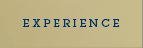 experience